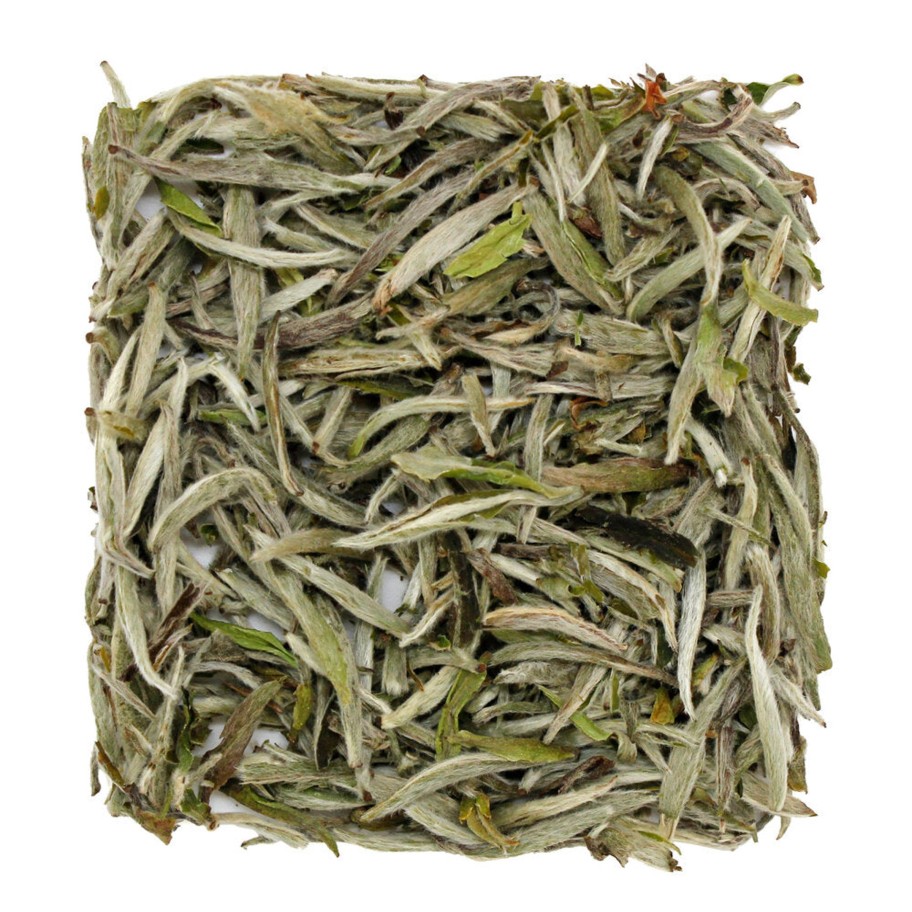 Tea In Pursuit of Tea Silver Needle Sample