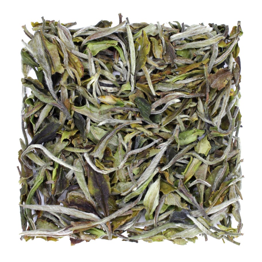 Tea In Pursuit of Tea Himalayan White